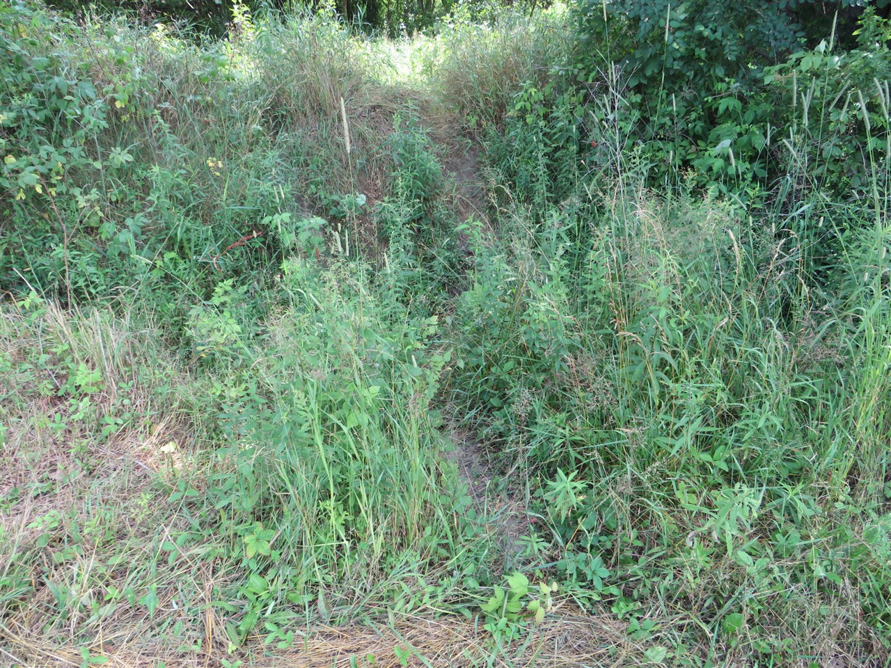 Ne County Line Road Property Photo 5