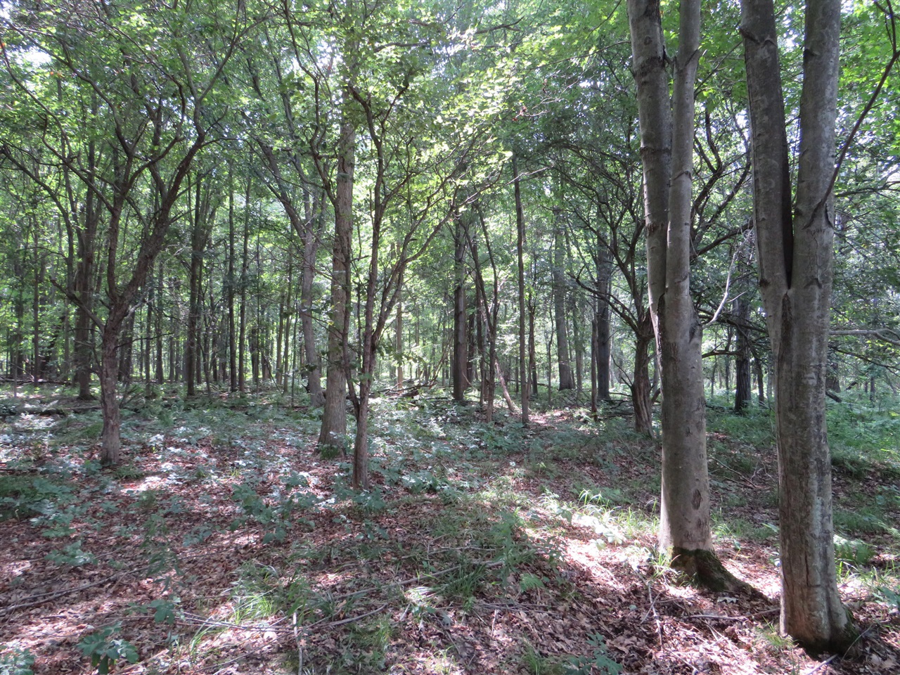 Ne County Line Road Property Photo 6