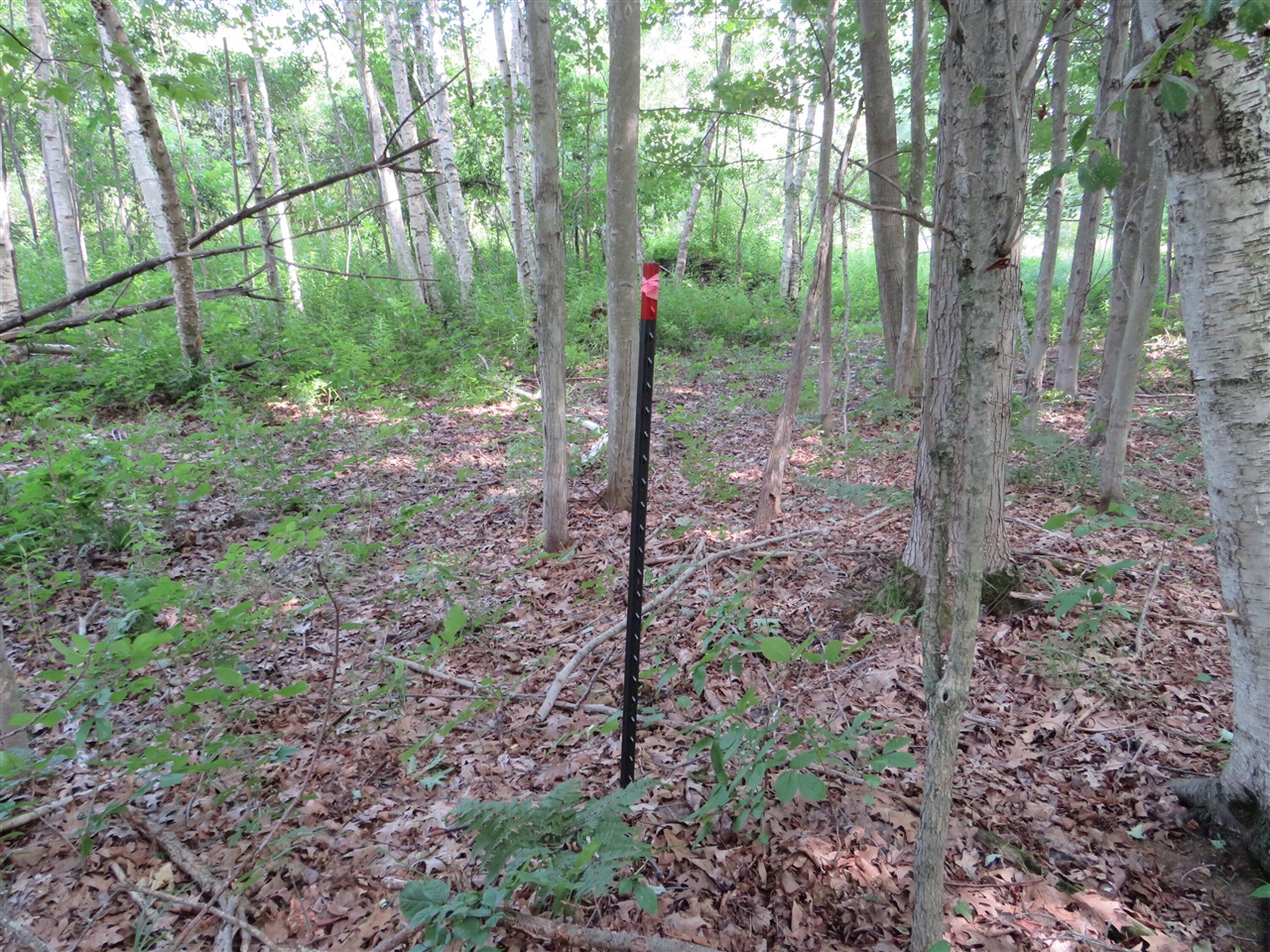 Ne County Line Road Property Photo 7