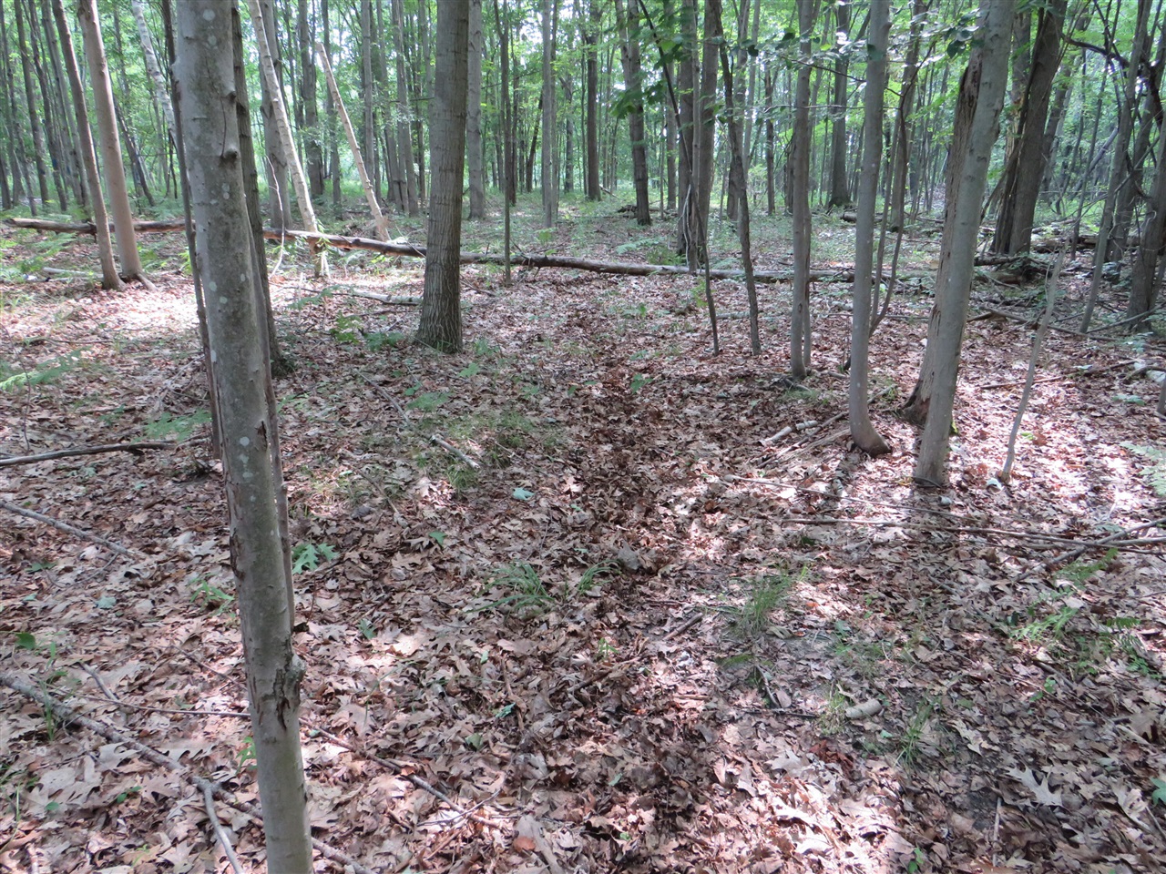 Ne County Line Road Property Photo 8