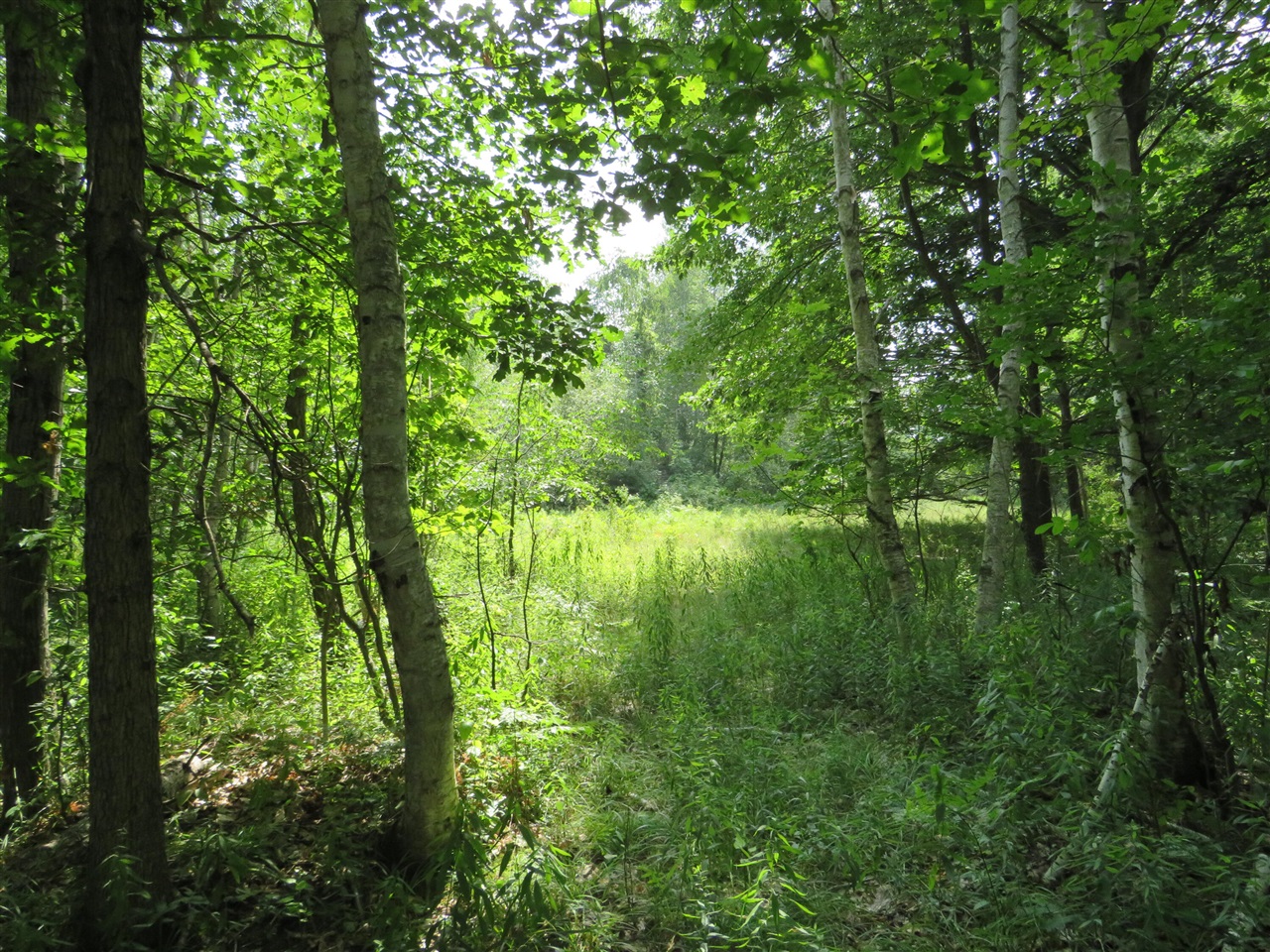 Ne County Line Road Property Photo 9