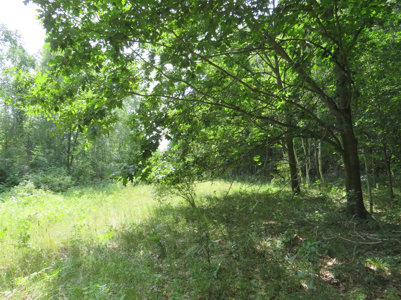 Ne County Line Road Property Photo 10