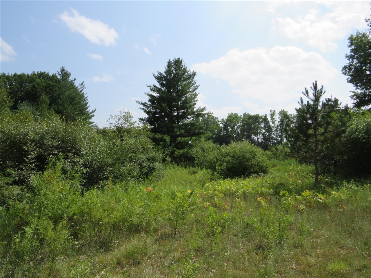 Ne County Line Road Property Photo 11