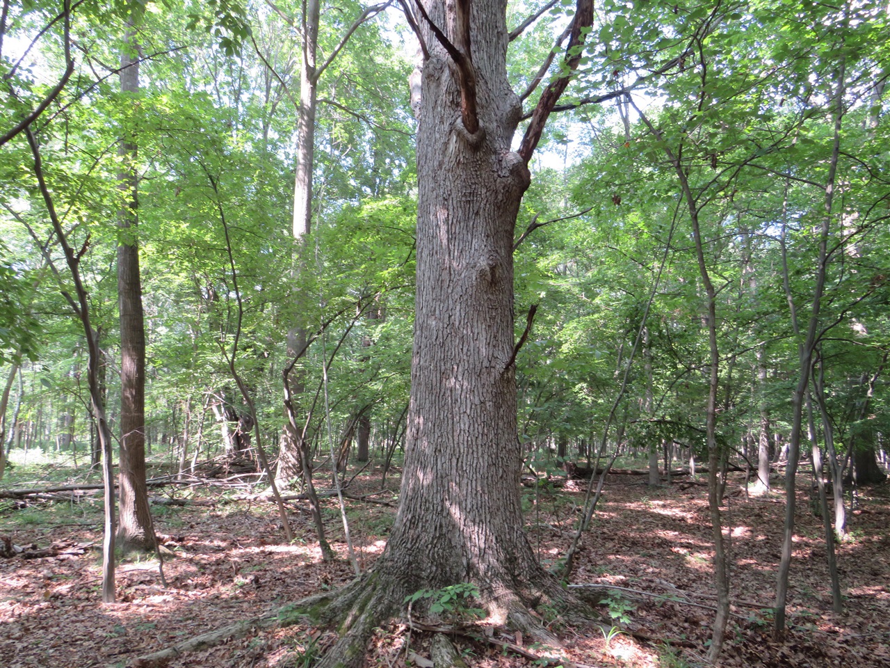 Ne County Line Road Property Photo 13