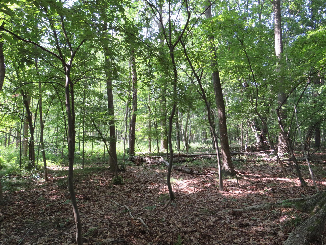 Ne County Line Road Property Photo 14