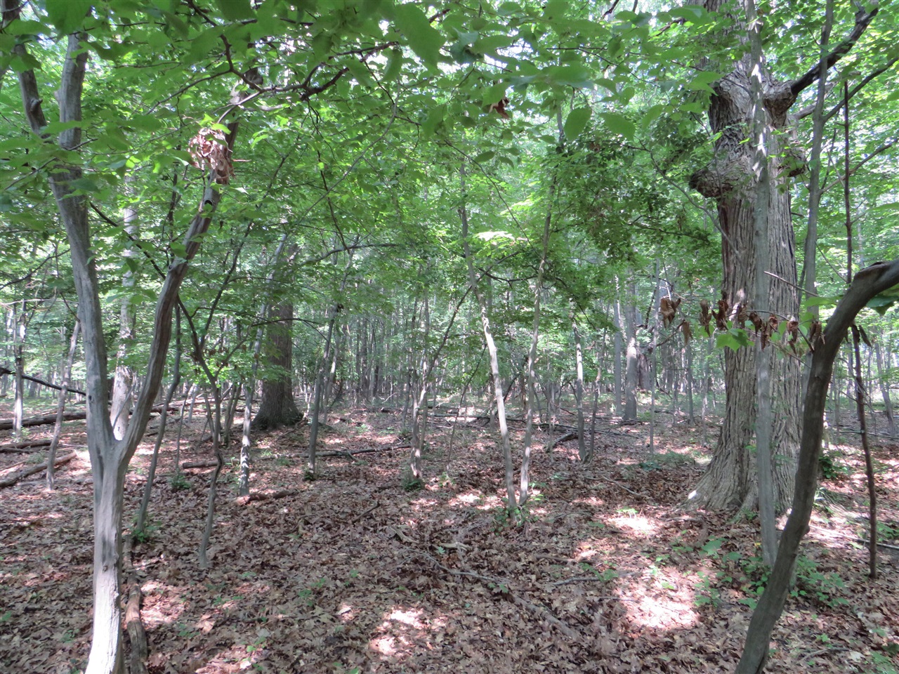 Ne County Line Road Property Photo 15