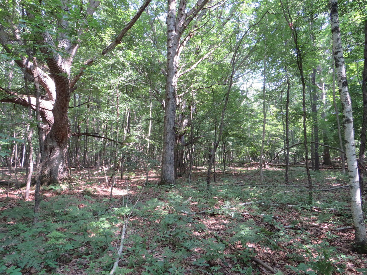 Ne County Line Road Property Photo 16