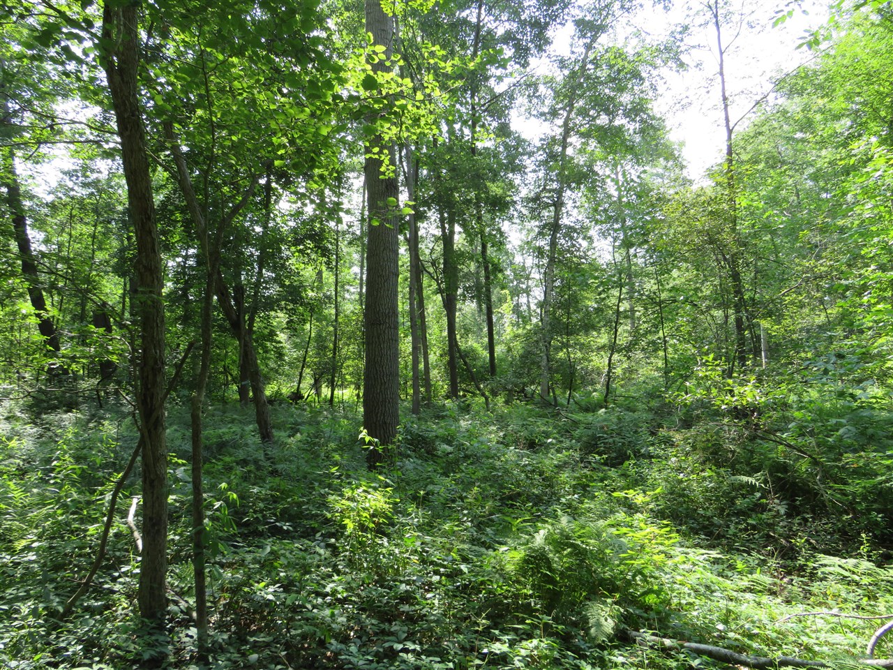 Ne County Line Road Property Photo 17