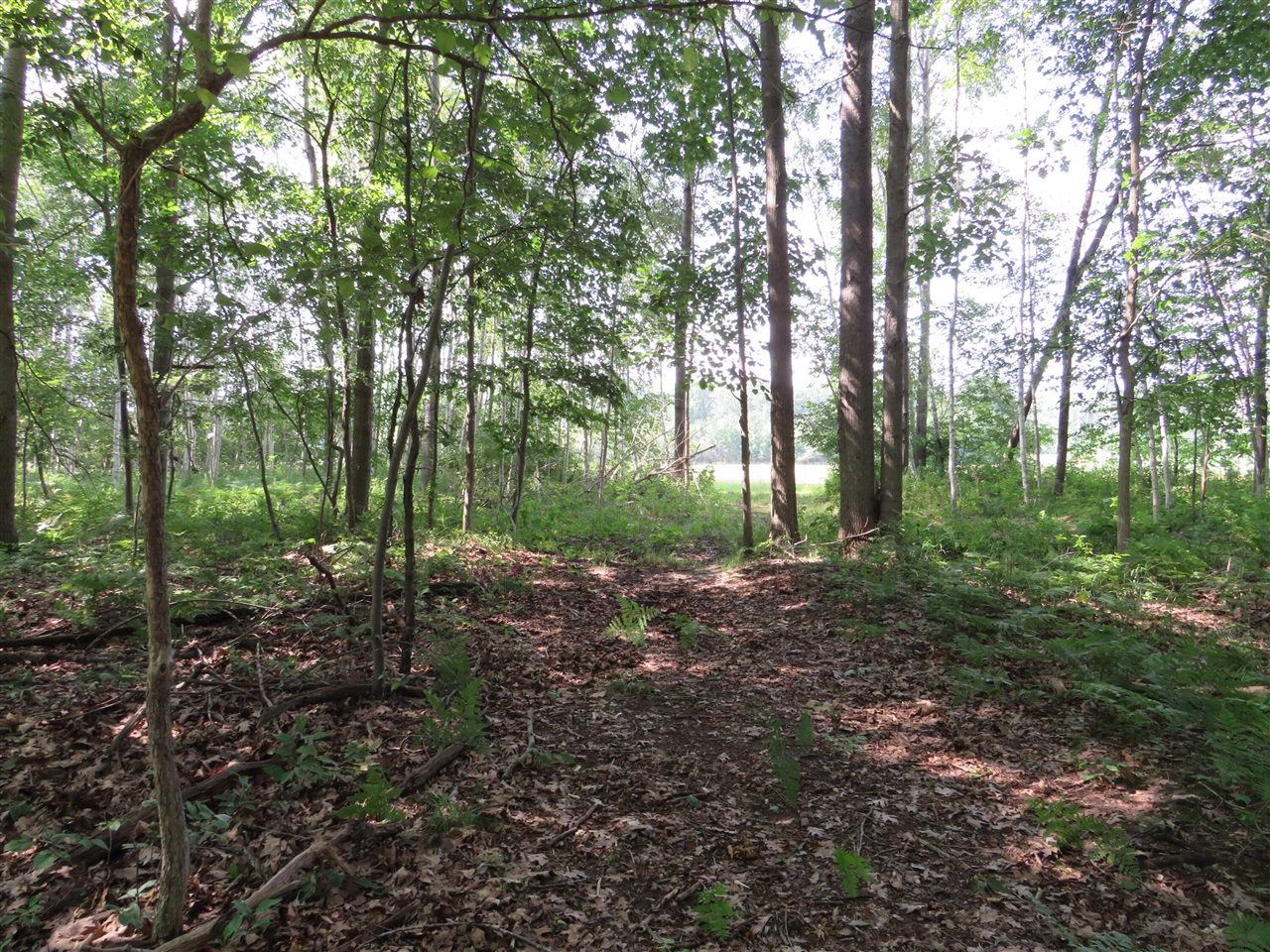 Ne County Line Road Property Photo 18