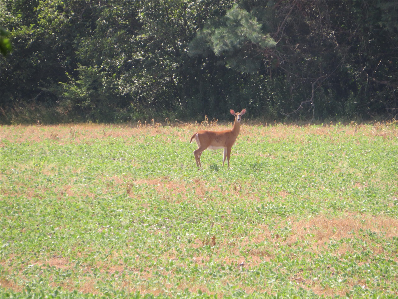 Ne County Line Road Property Photo 19