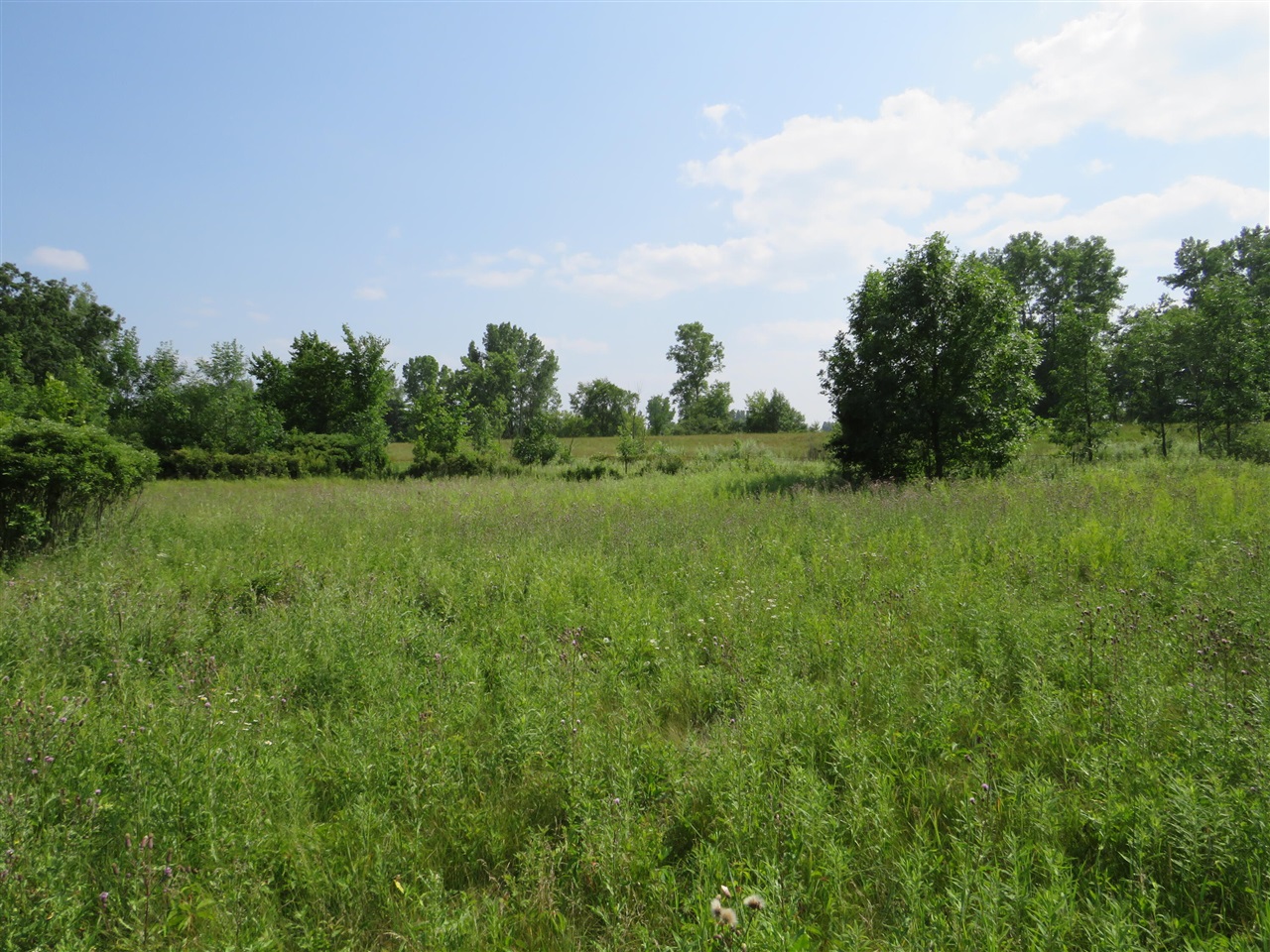 Ne County Line Road Property Photo 22