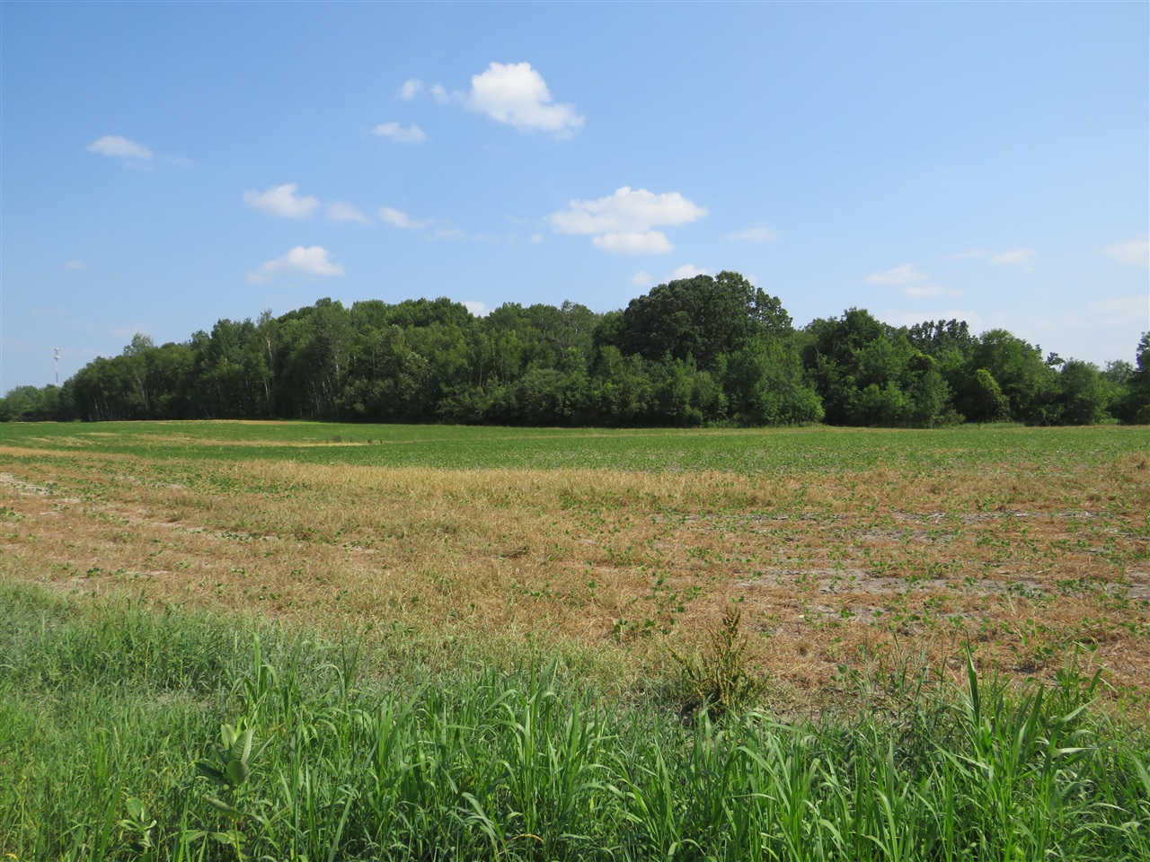 Ne County Line Road Property Photo 23