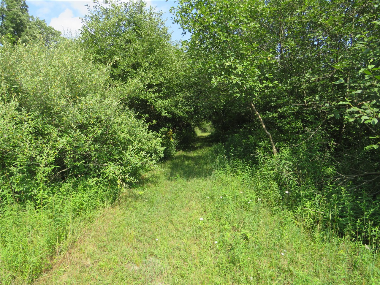Ne County Line Road Property Photo 24