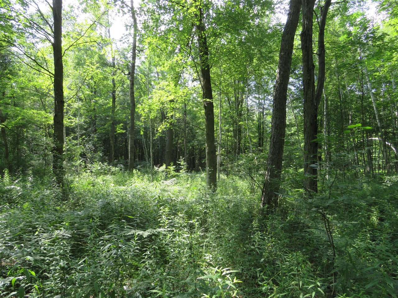 Ne County Line Road Property Photo 26
