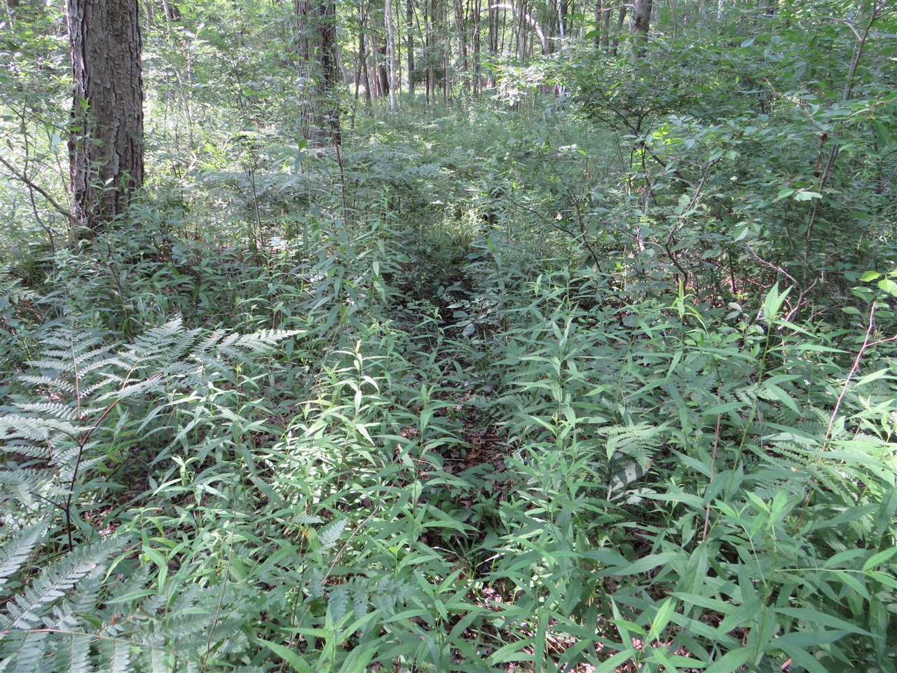 Ne County Line Road Property Photo 27