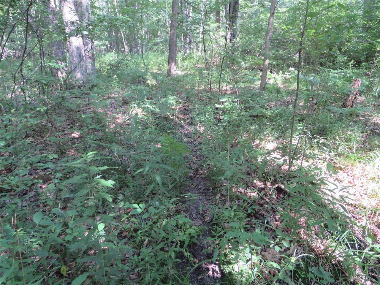 Ne County Line Road Property Photo 28