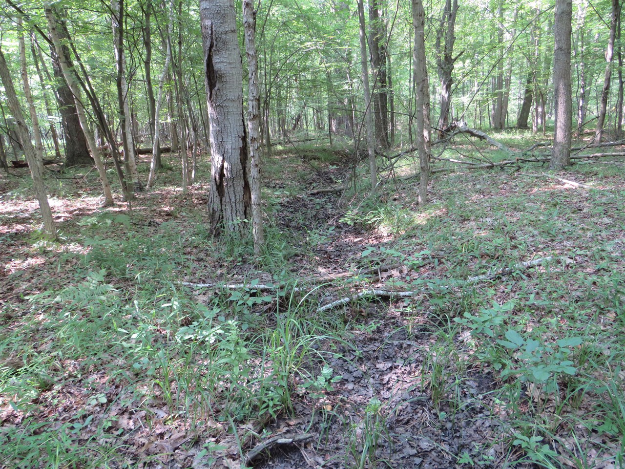 Ne County Line Road Property Photo 29