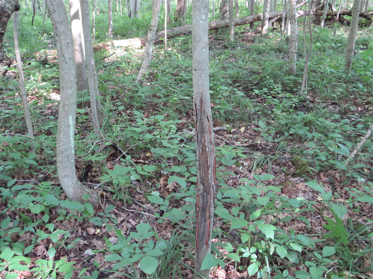 Ne County Line Road Property Photo 30