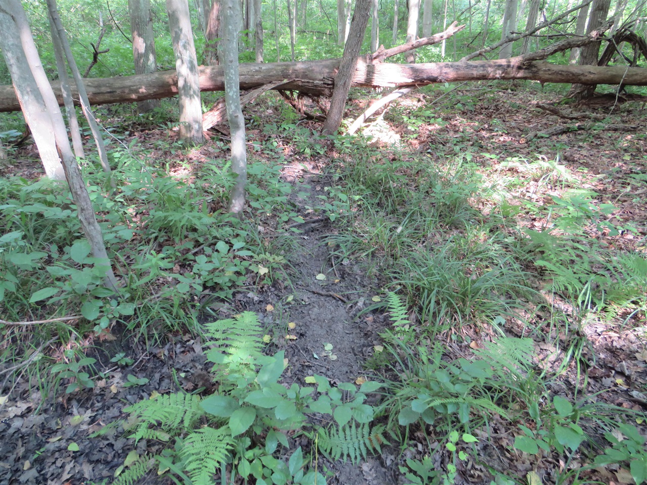 Ne County Line Road Property Photo 31