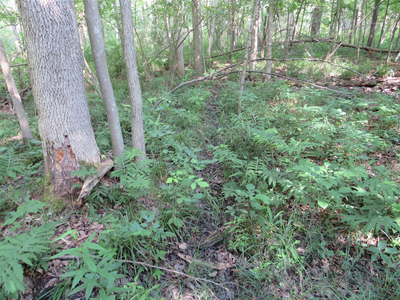 Ne County Line Road Property Photo 32