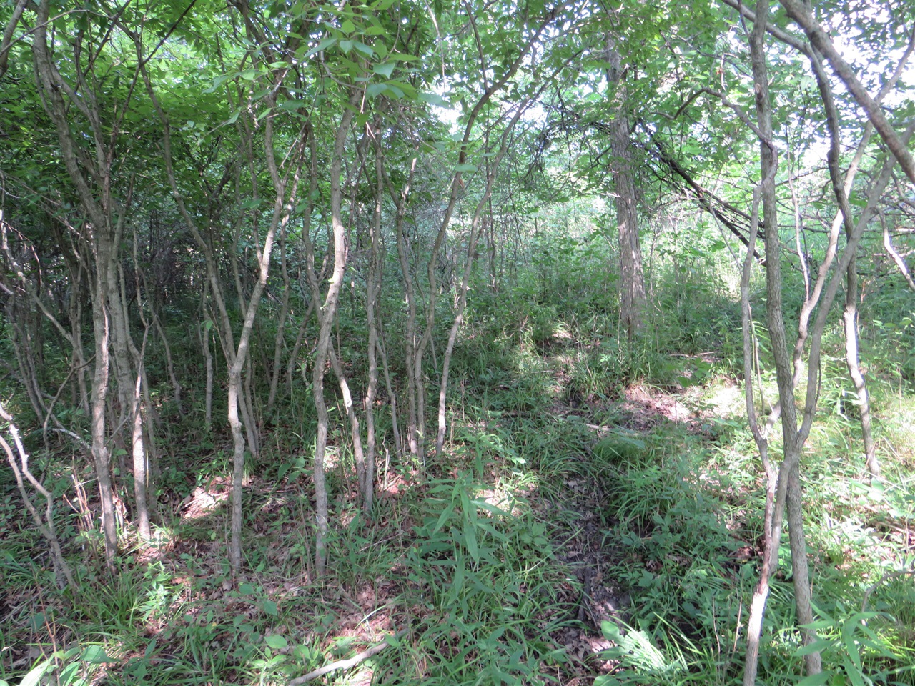 Ne County Line Road Property Photo 33
