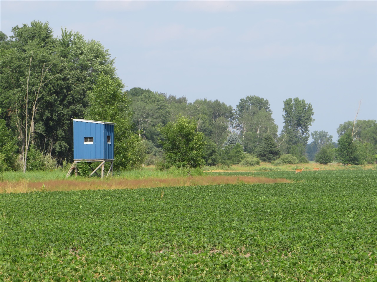 Ne County Line Road Property Photo 35