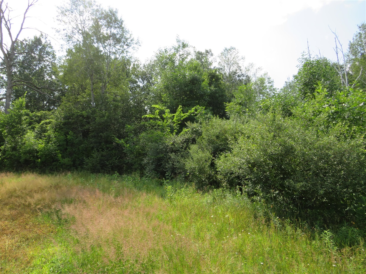 Ne County Line Road Property Photo 36