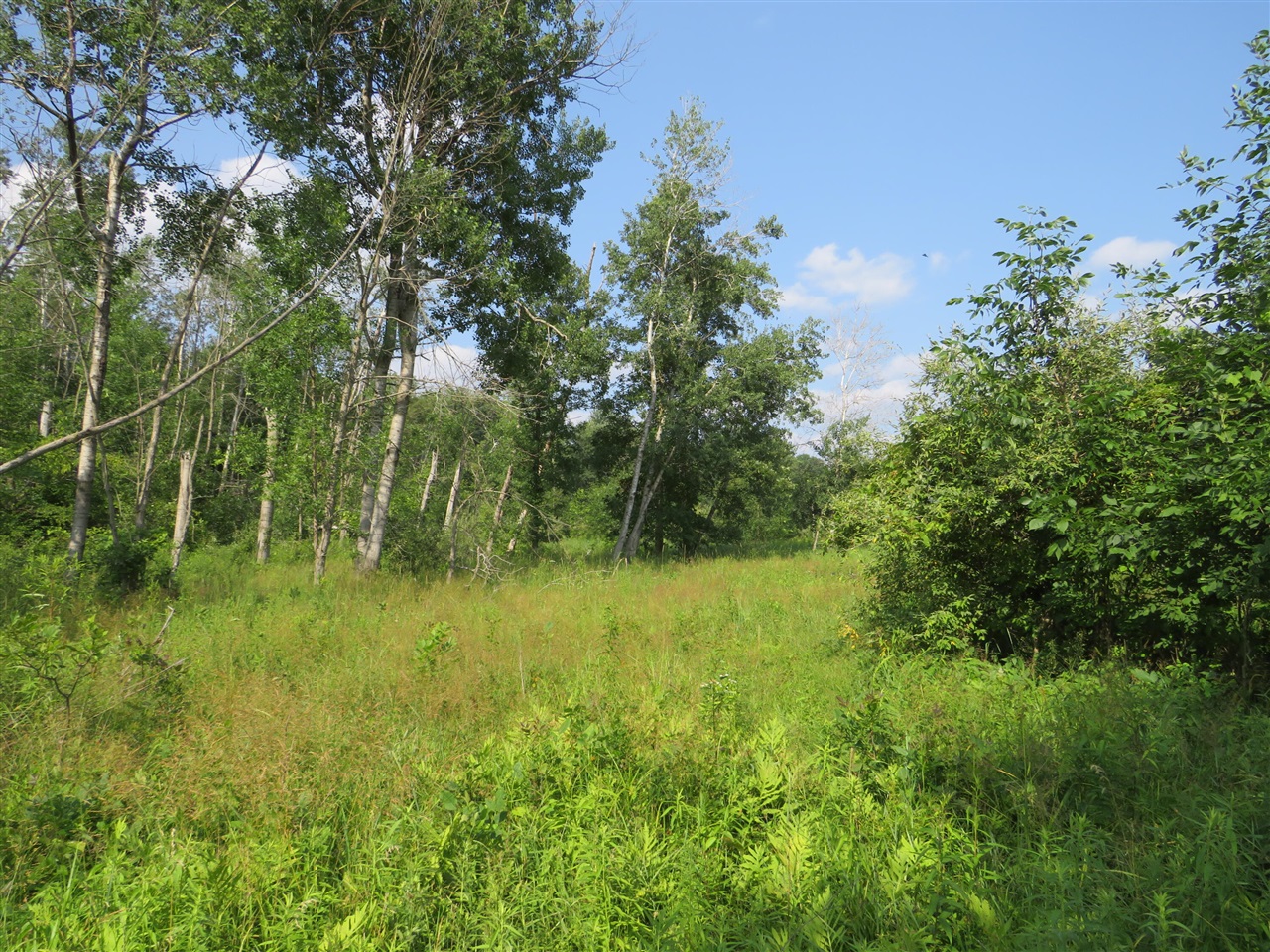 Ne County Line Road Property Photo 37