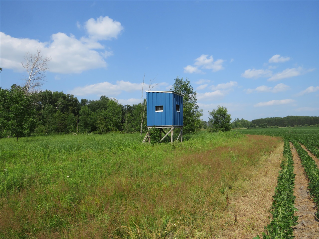 Ne County Line Road Property Photo 38