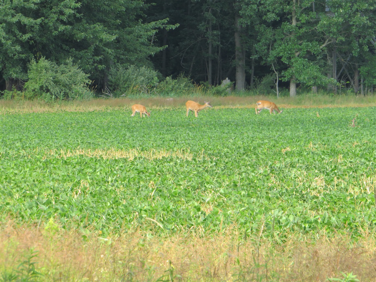 Ne County Line Road Property Photo 40