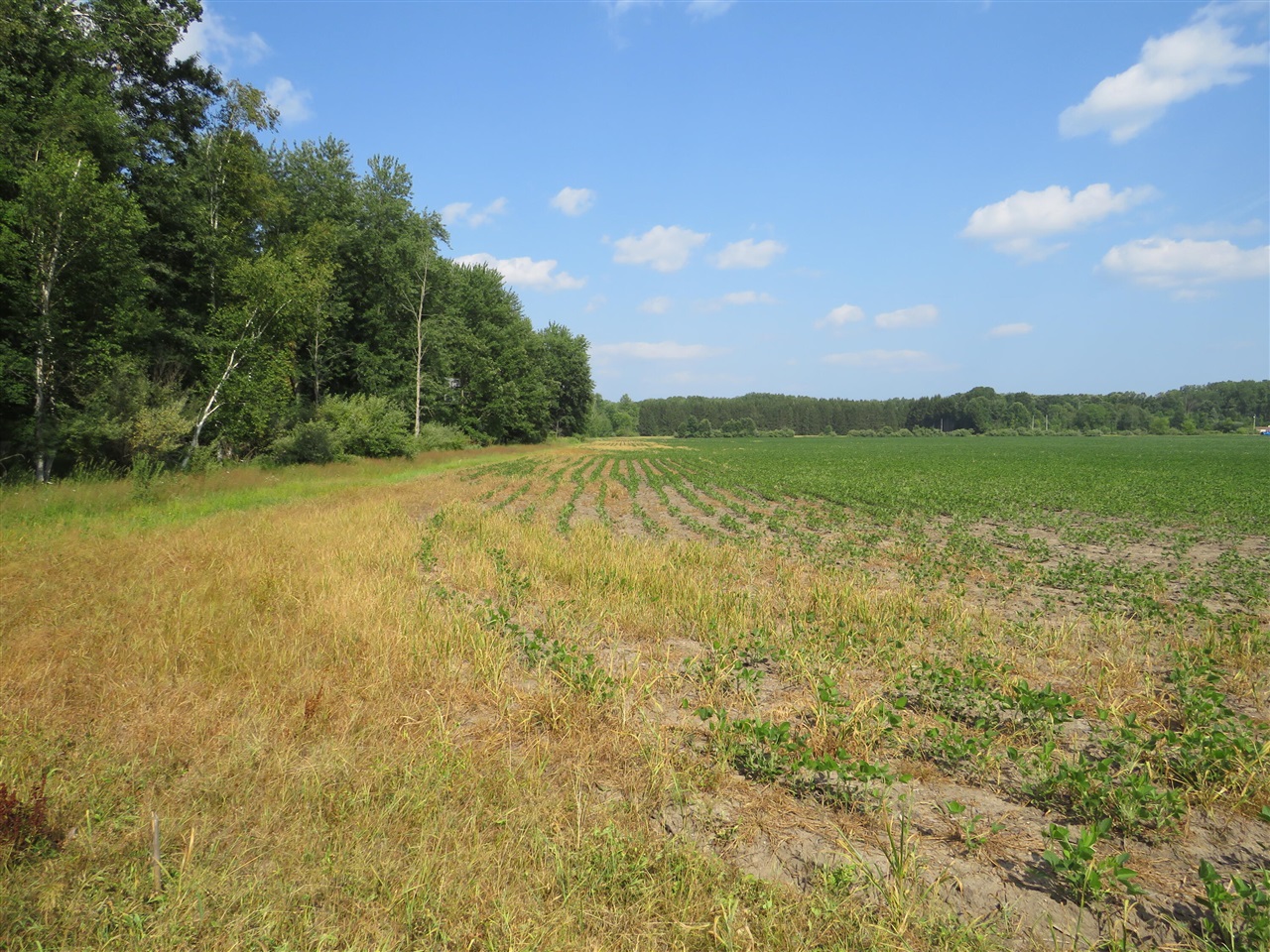 Ne County Line Road Property Photo 42