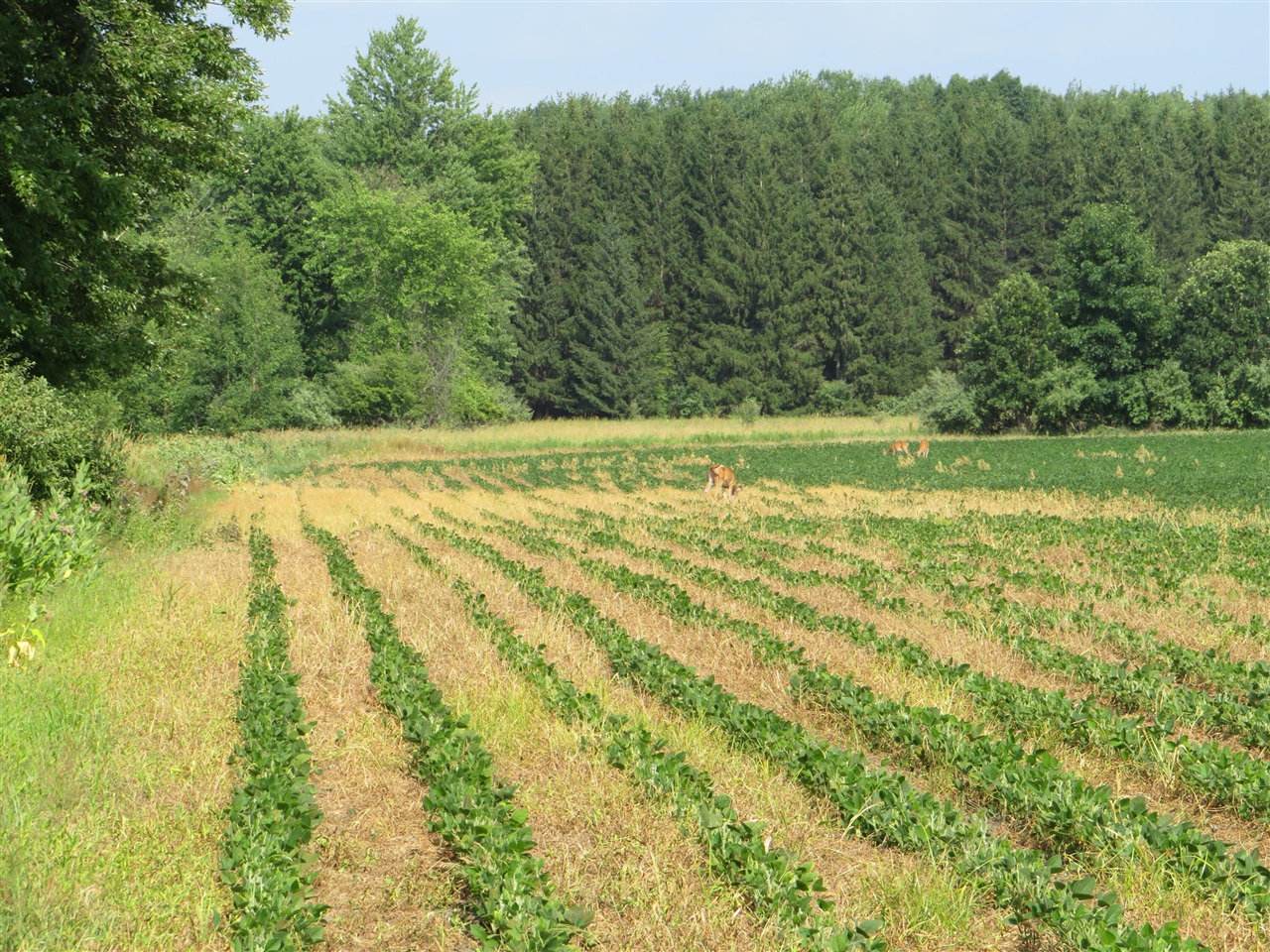 Ne County Line Road Property Photo 43