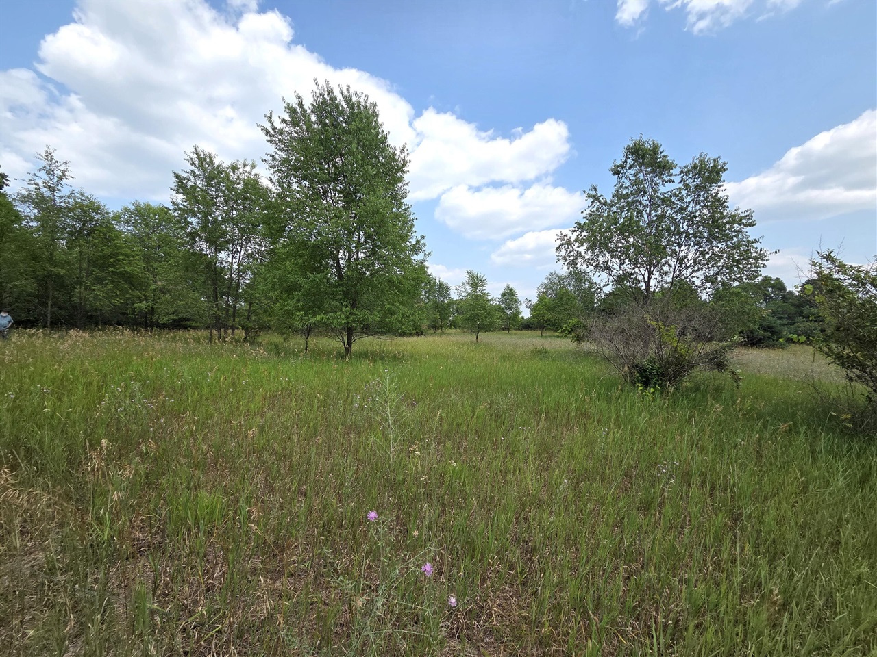 00 W Stanton Road Property Photo 7