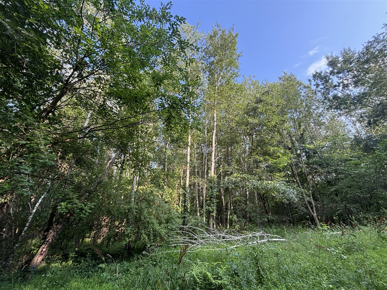 Jacob Road Property Photo 1