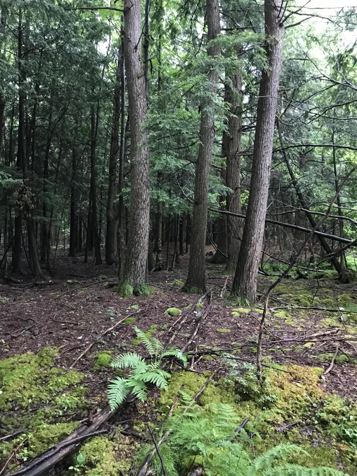 Vl Old State Road Property Photo 3