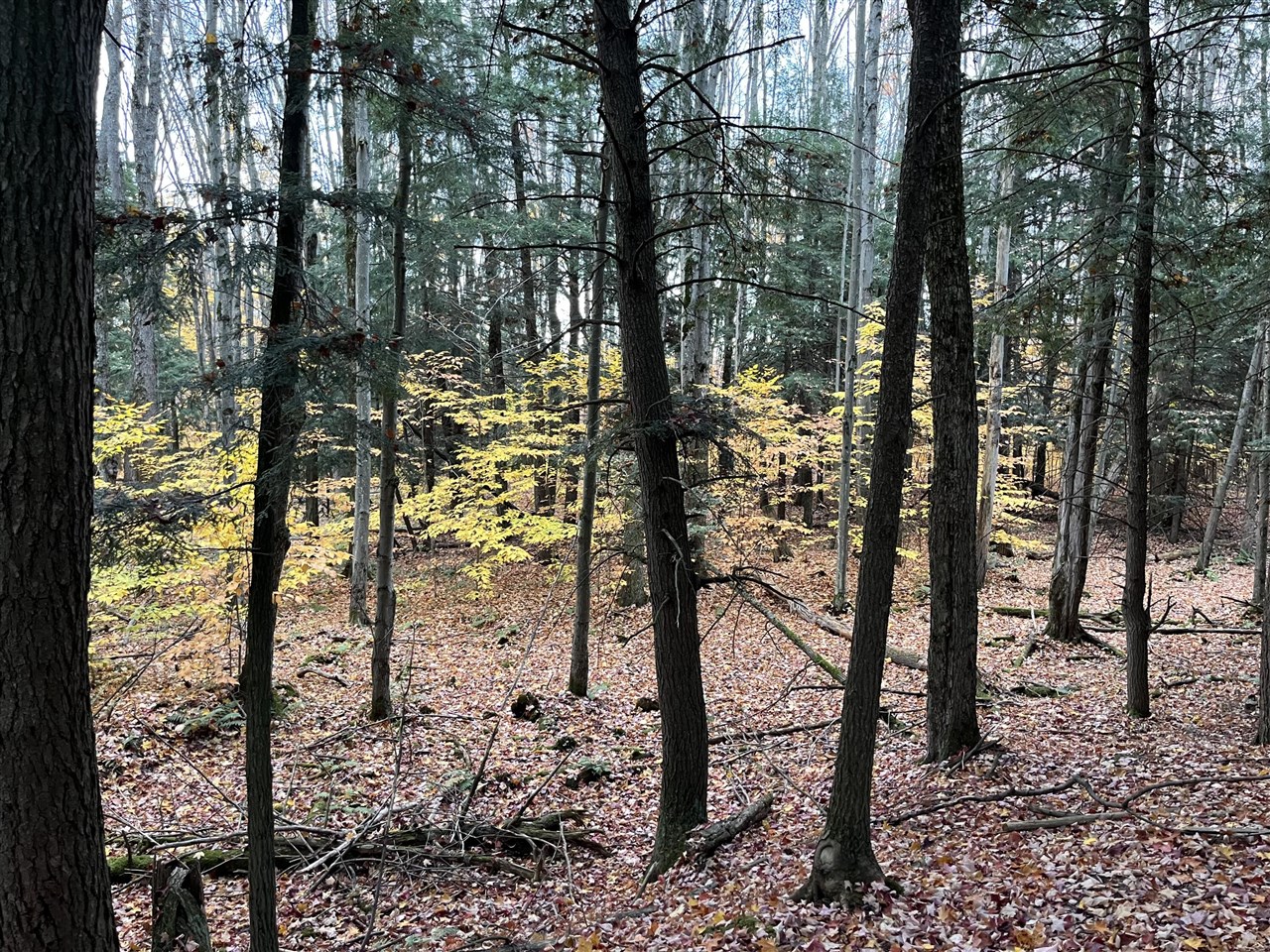 Vl Old State Road Property Photo 5