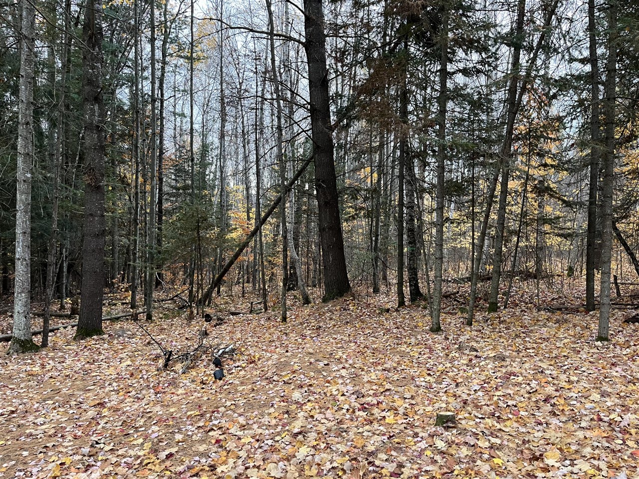 Vl Old State Road Property Photo 6