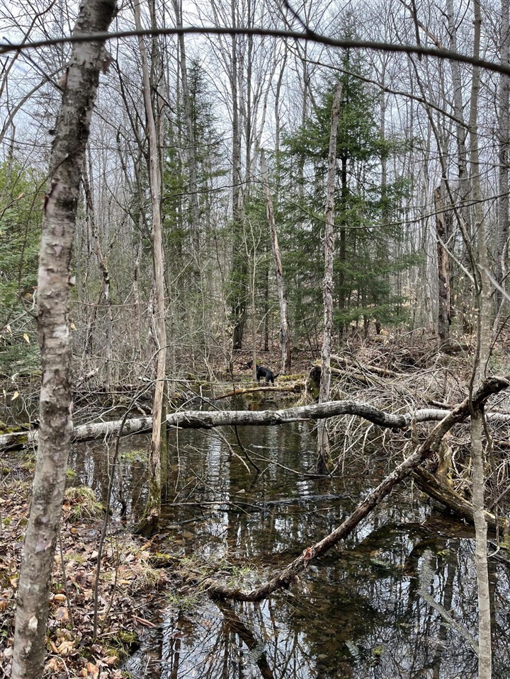 Vl Old State Road Property Photo 8