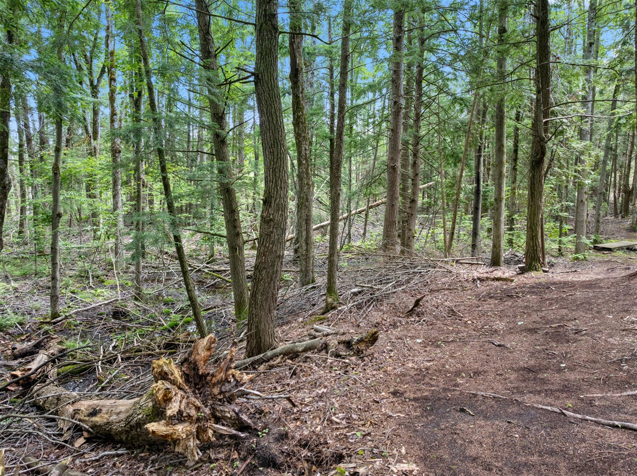 Vl Old State Road Property Photo 9