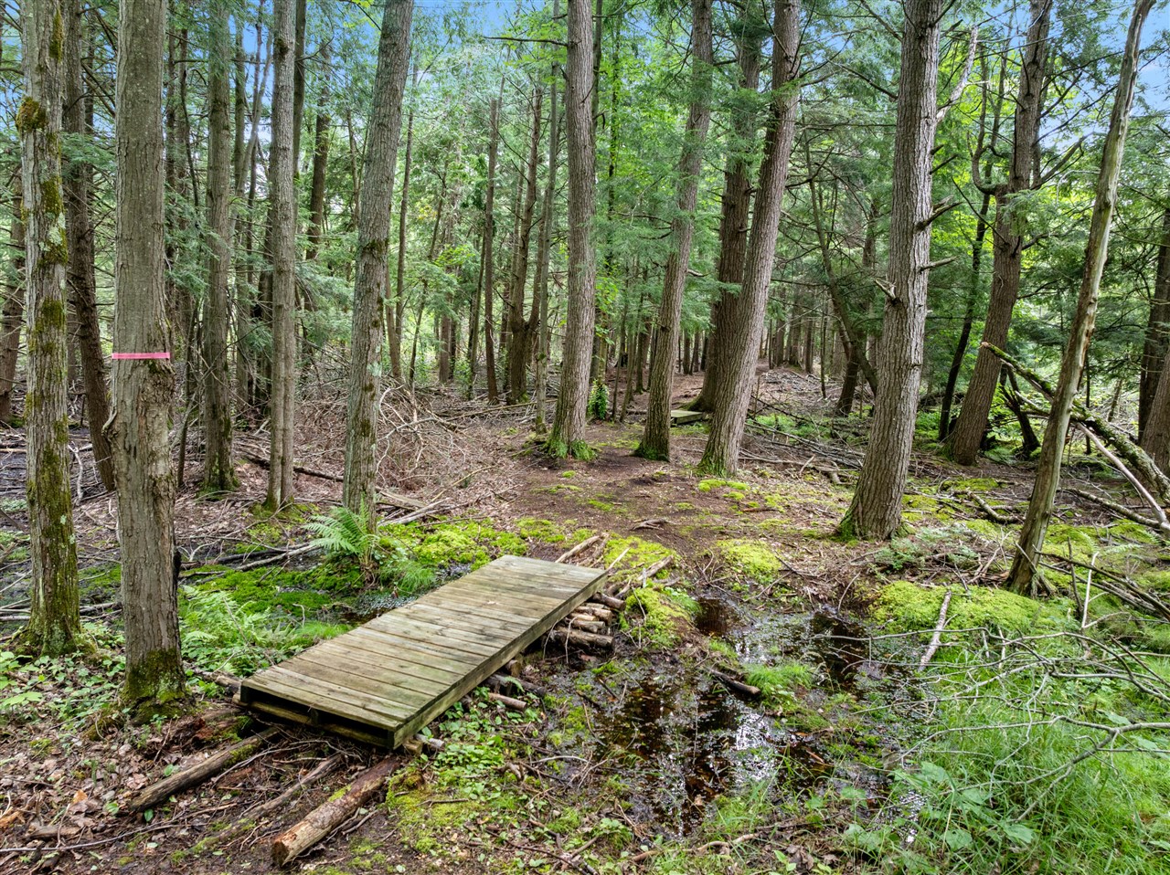 Vl Old State Road Property Photo 11