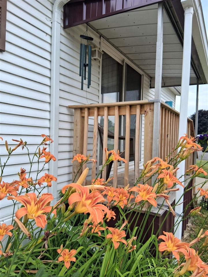 1219 Royal Drive Property Photo 3