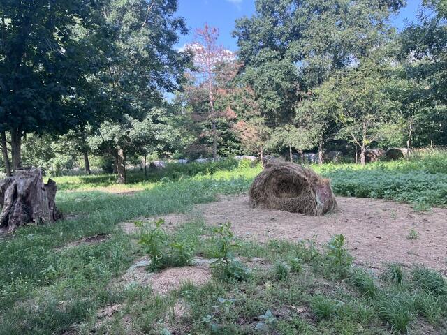13251 Makinen Road Property Photo 15