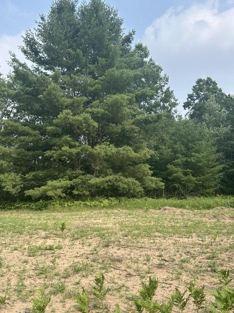7893 S 220th Avenue Property Photo 2
