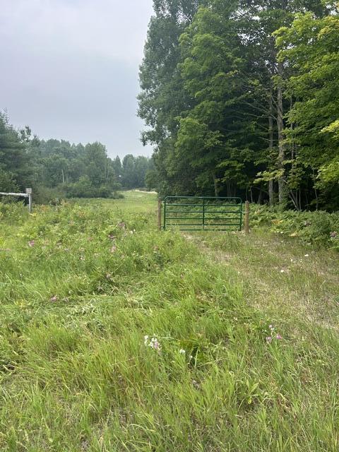 7893 S 220th Avenue Property Photo 6