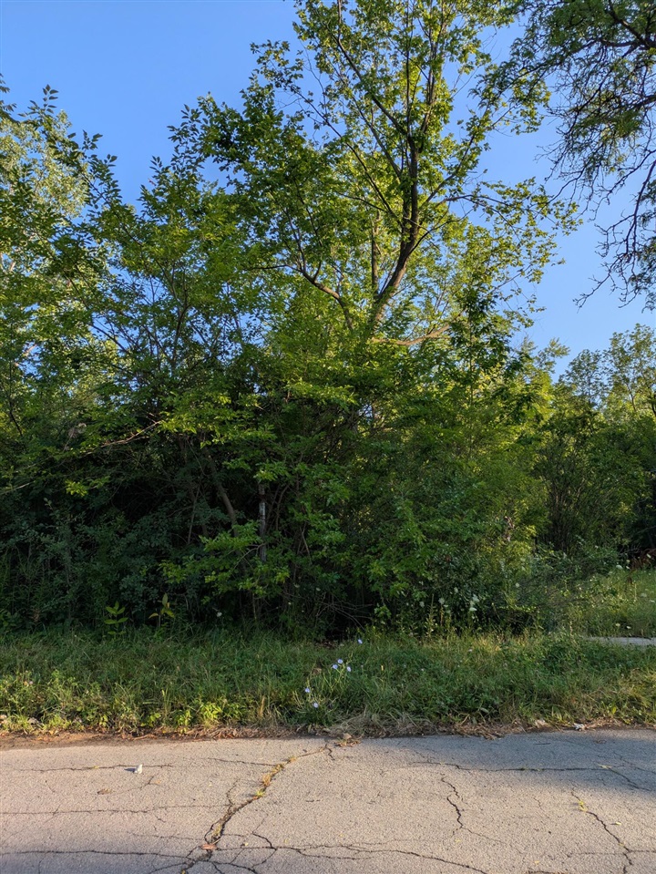 2640 W Forest Avenue Property Photo 1