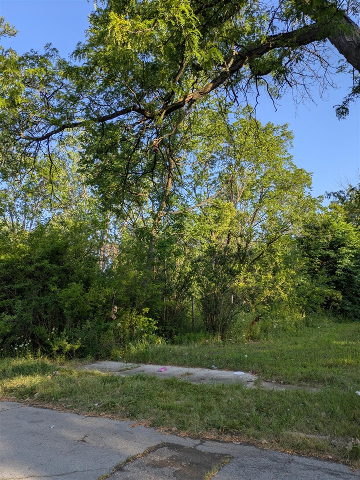 2660 W Forest Avenue Property Photo 1