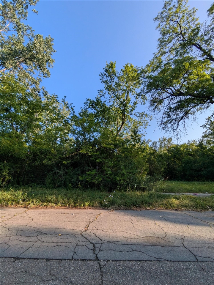2660 W Forest Avenue Property Photo 6