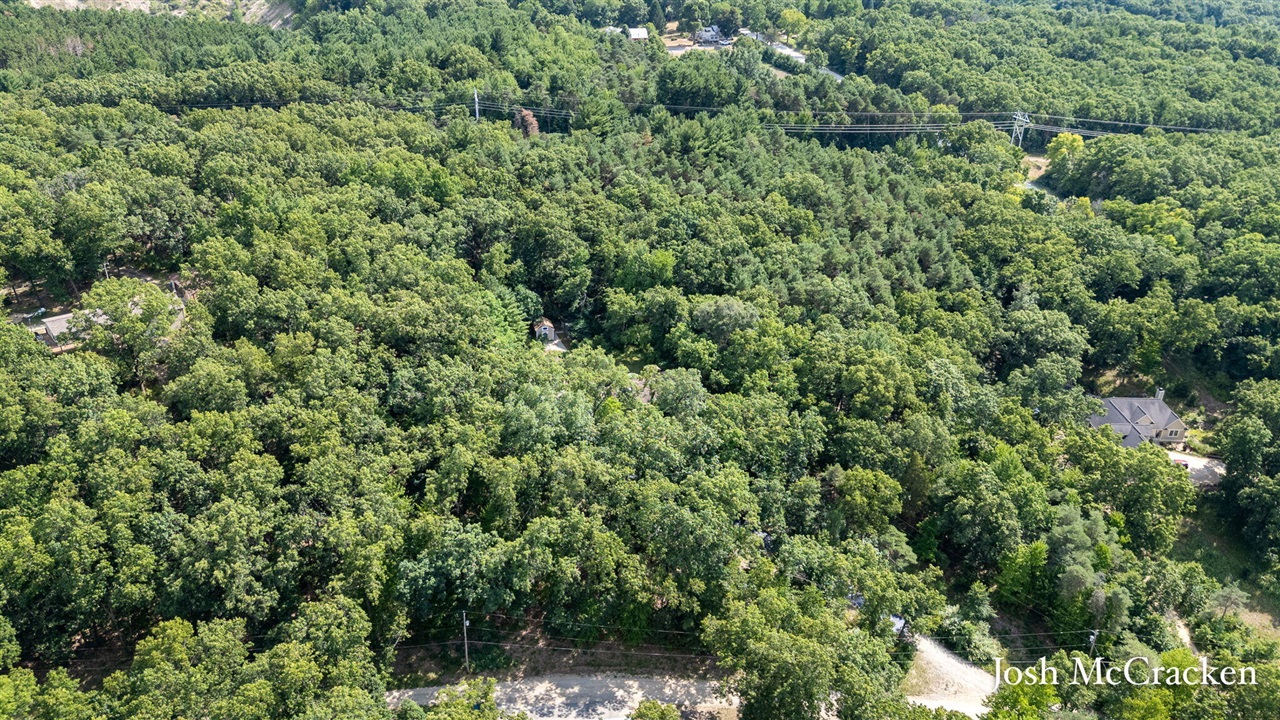 9665 Black Oak Drive Property Photo 14
