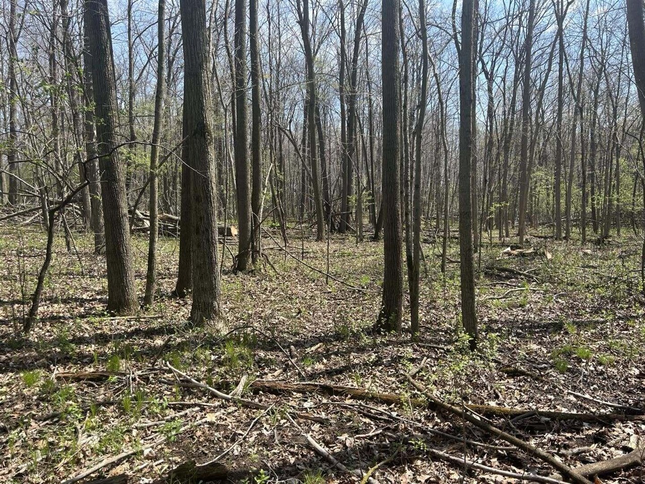 Halfmoon Lake Rd. Property Photo 1