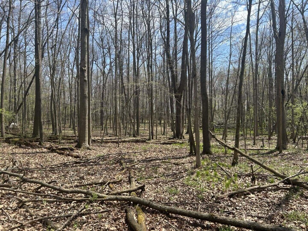 Halfmoon Lake Rd. Property Photo 2